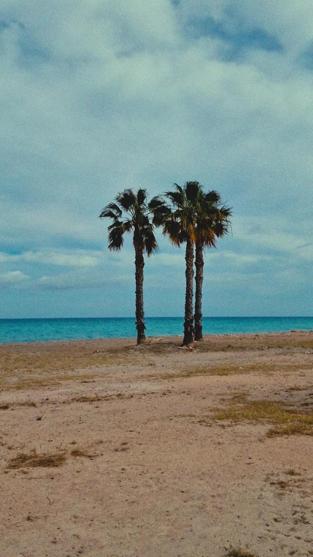 Apartamento Playa Moncofa-Chilches 奇尔切斯 外观 照片